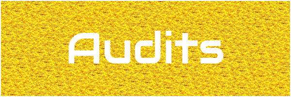 Audits